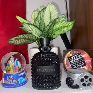 Meet your Posher, Levin stevens